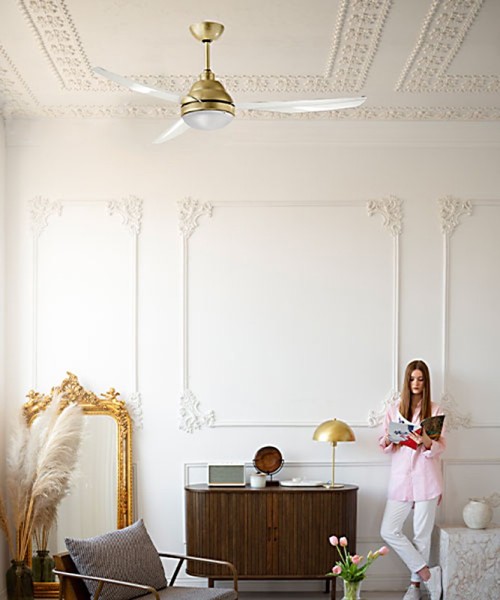 ITALEXPORT Remida Ventilateur de plafond avec lumière